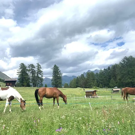 شقة فندقية 210 تشامبولوك