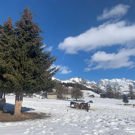 210 شقة فندقية 3*